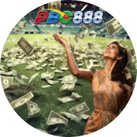 PBC_cricket_banner_money_3